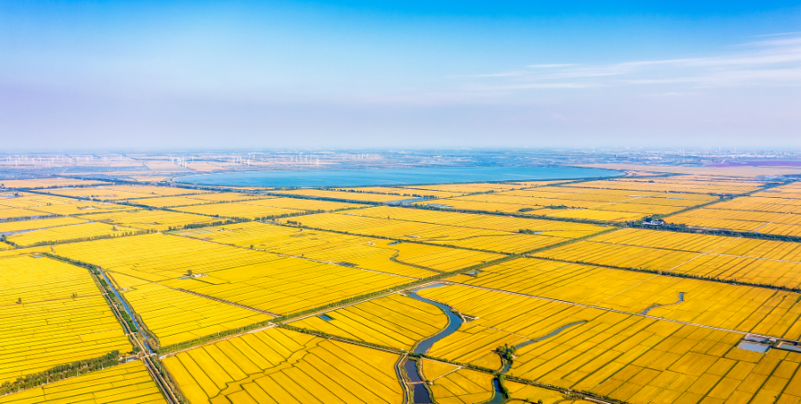 税务总局：建立健全纳税缴费信用评价体系