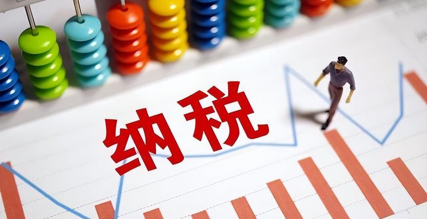 税务总局：建立健全纳税缴费信用评价体系