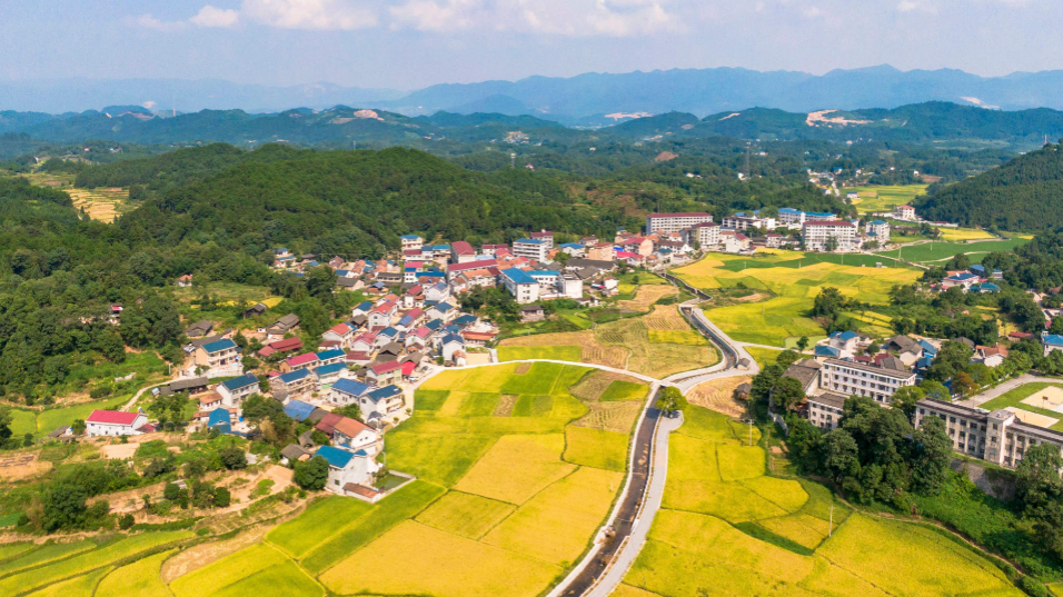 税务总局：建立健全纳税缴费信用评价体系