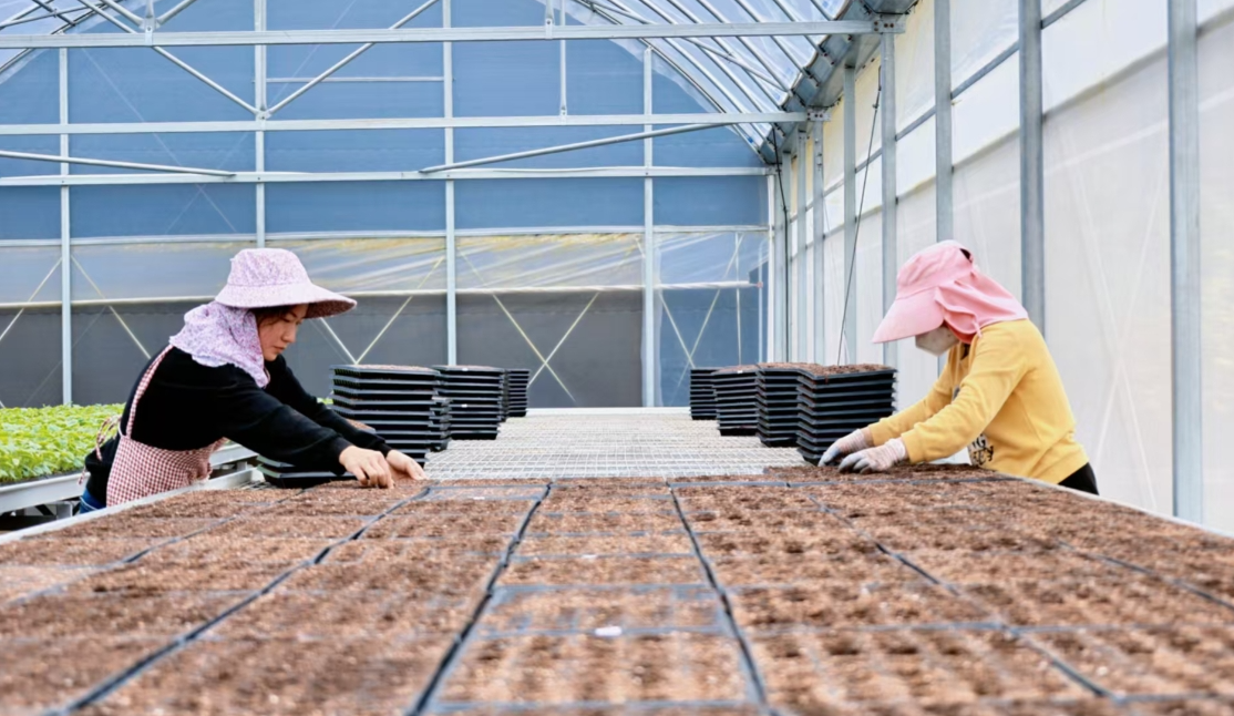 税务总局：建立健全纳税缴费信用评价体系